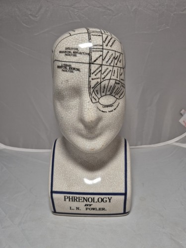Phrenology head bust - 💥,