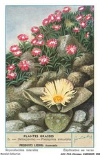 AXYP18-1398-CHROMOS -