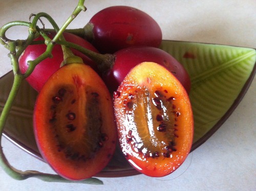 Tamarillo tomate 5 - tamarillo,