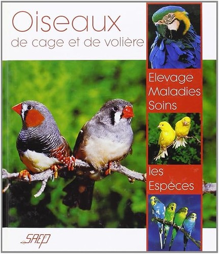 Oiseaux cage de - cage, et