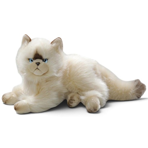 Carl dick chat persan - dick,