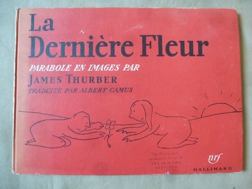 Dernière fleur parabole - la,