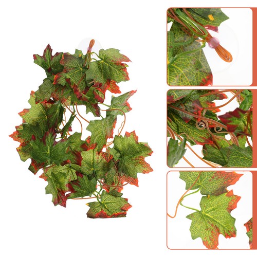 Accessoire pour terrarium - ,