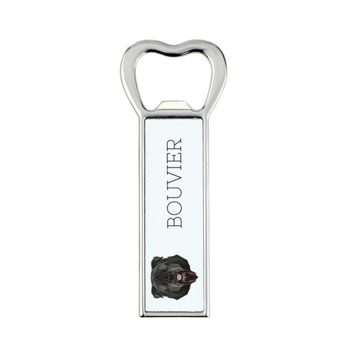 Bouvier des flandres - bouvier,