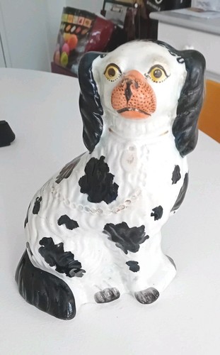 Chien staffordshire en - chien,
