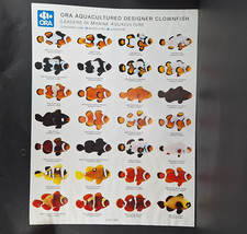 Aquarium Marine Fish Aquacultured Designer Clownfish Poster 24x18