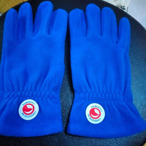 Gants hiver compagnie de - hiver,