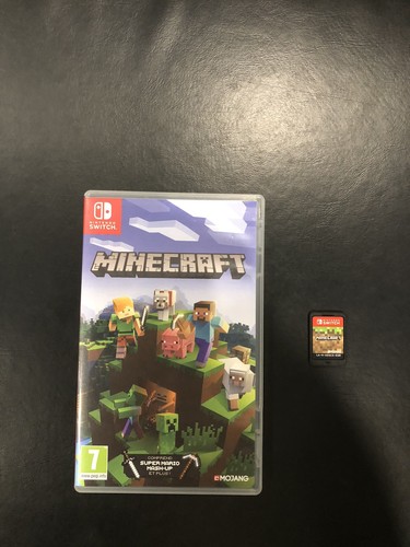 Minecraft sur - ),