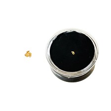 Gold Nugget - Size XXS - Raw