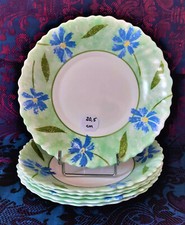 ARCOPAL * BLEUETS feuilles et