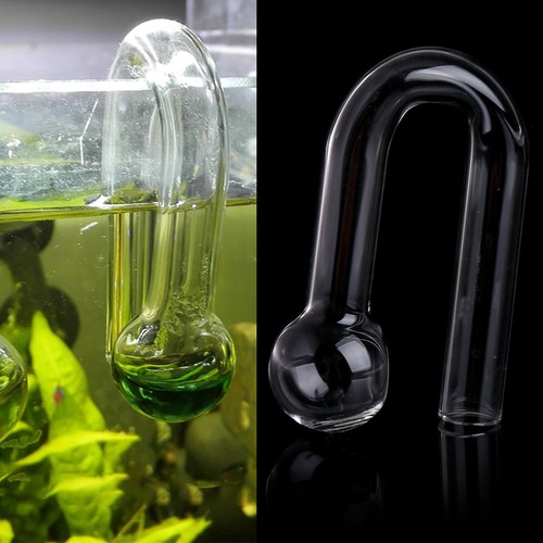 Aquarium fish tank - fish,