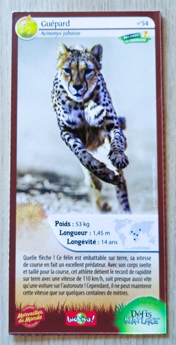 Carte merveilles monde - merveilles, du