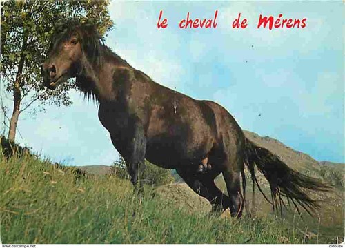 Carte postale animaux - postale,