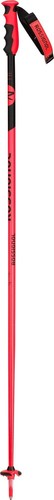 Rossignol paire petits - rossignol,