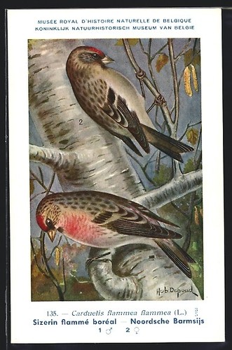 Carte postale artiste hubert - d'artiste,