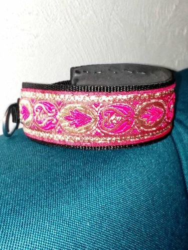 Collier pour chien petit - pour, chien,