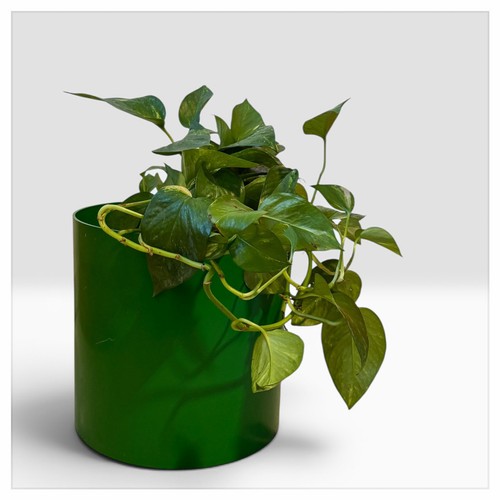 Porte vase vintage - vintage, kartell