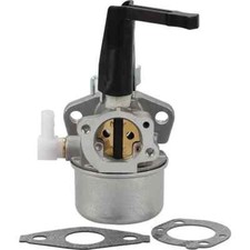Carburateur pour Moteur Briggs