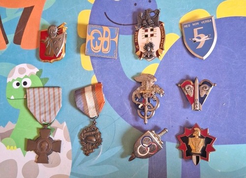 Lot insignes militaire - 10,