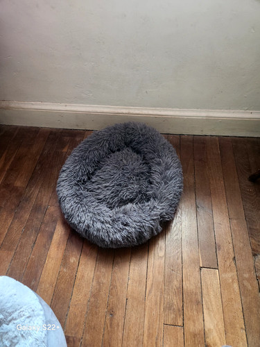 Panier pour chat petit - panier,