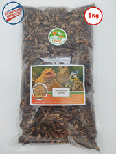 🦗 Sauterelles séchées 1