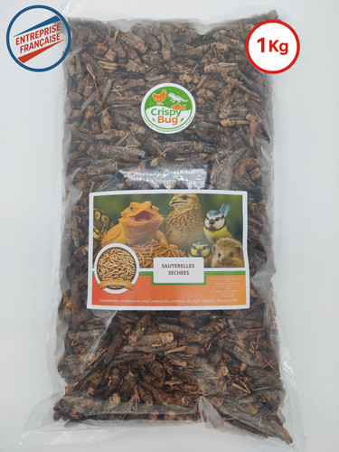 Sauterelles séchées 1 - 🦗,