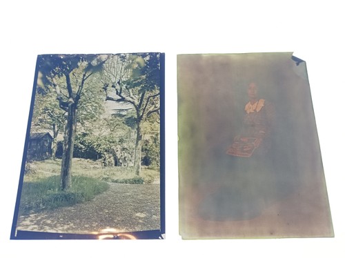 Autochromes filmcolor a - autochromes,