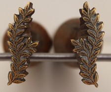 Paire de Fers à Dorer Fleuron