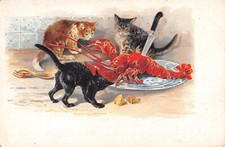 Postcard fantasy representing cats and a lobster / cat / illustrator