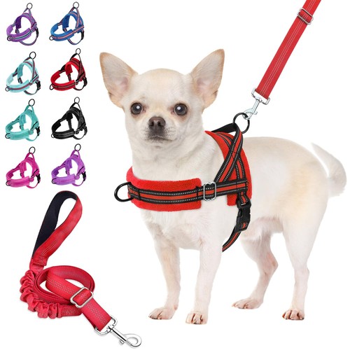 Harnais pour chien avec