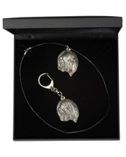 Lhassa Apso - Set - The Dog IN