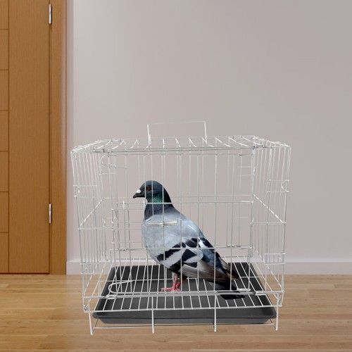 Cage pigeons - cage, à