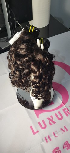 Indien raw hair 100 - indien,