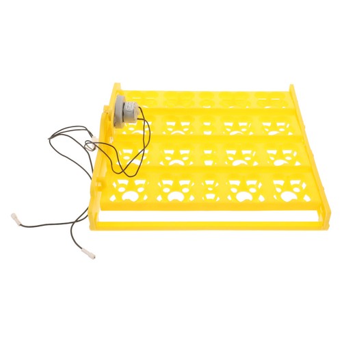 Couveuse oeufs automatique - ,