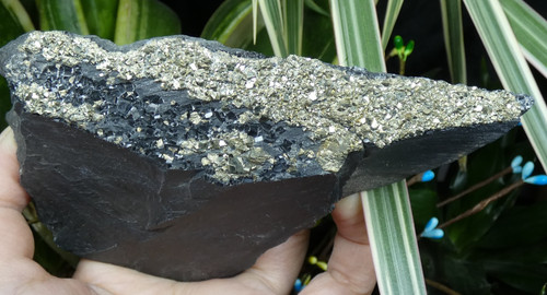 Pyrite doré ardoise - pyrite,
