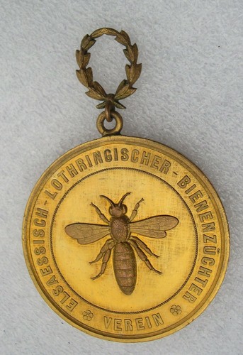 Medaille strasbourg 1881 - medaille,