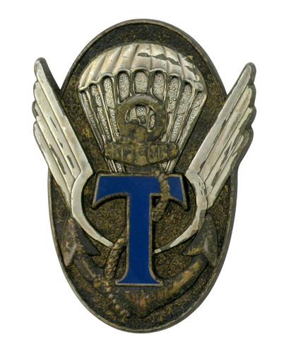 Insigne militaire military - insigne,