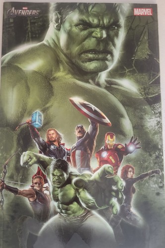 Hulk variant panini - hulk, 1
