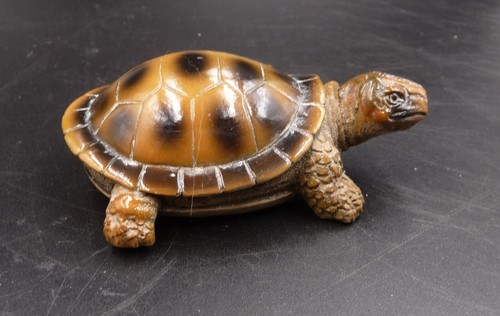 Tortue terre cuite - tortue,