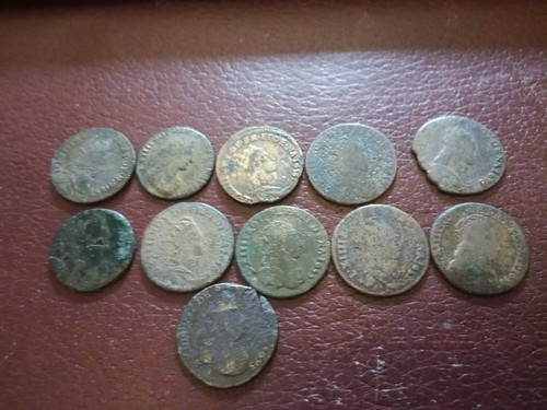 Lot liard de france - lot, 11