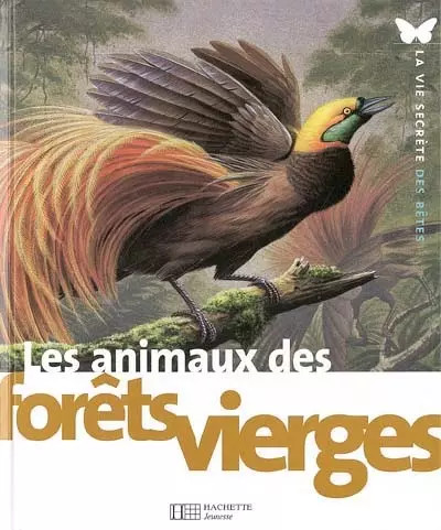 Les animaux des forêts