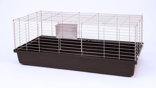 Cage pour cobaye xxl - cobaye,