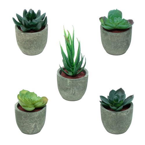 Plante artificielle avec - 5x,