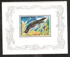 BELGIUM # B 783 MNH ANTWERP ZOO NILE TURTLE