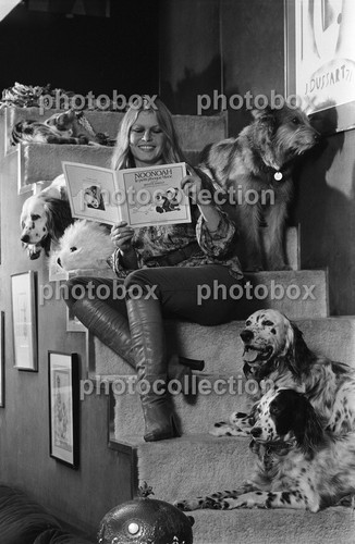 Brigitte bardot exclusive - brigitte,