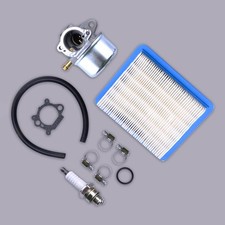 Carburetor Fit For Briggs &