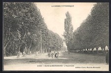 Old postcard Buis-les-Baronnies, the tree-lined esplanade with walkers 1910 