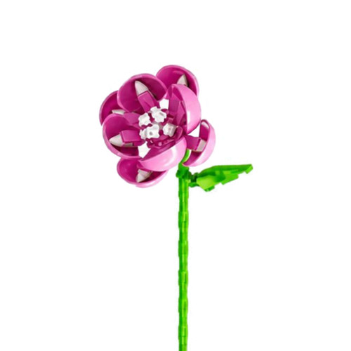 Fleur tige camélia - fleur,