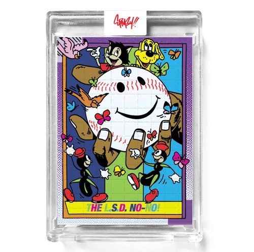 Ermsy topps project dock - project, 70