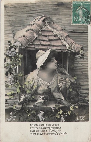 Femme coiffe avec oiseaux - femme,